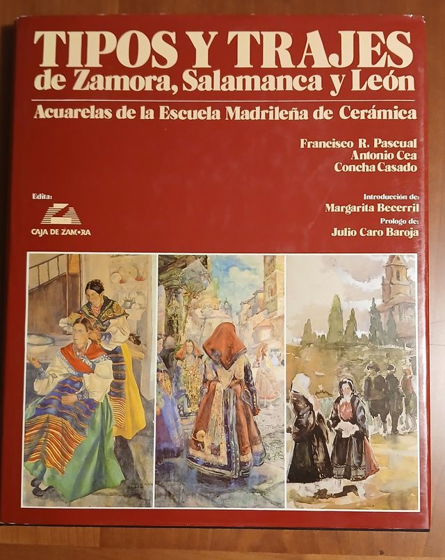 Tipos y trajes de Zamora, Salamanca y León