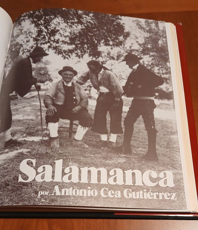 Tipos y trajes de Zamora, Salamanca y León