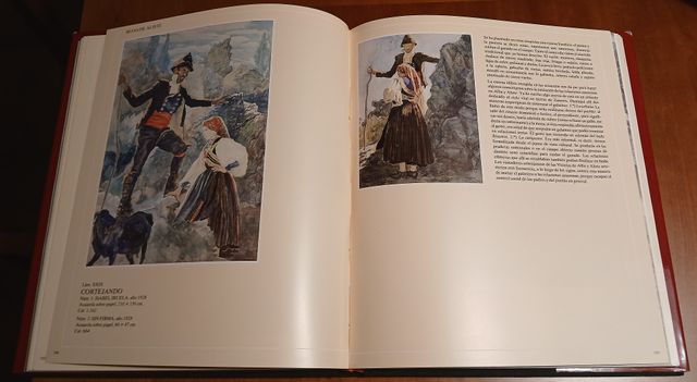 Tipos y trajes de Zamora, Salamanca y León