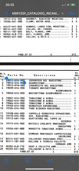 Griglia Radiatore Honda NSR 125 F JC20