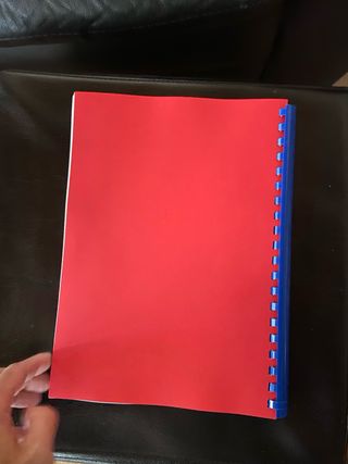 Manuale Officina Suzuki RGV 250 Inglese