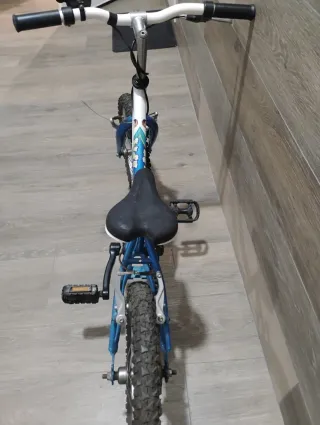 Bicicleta infantil 16 pulgadas Trotter