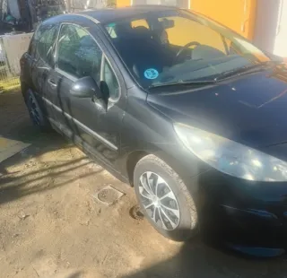 Peugeot 207 2009