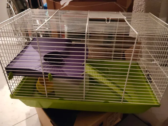 Gabbia per criceto con accessori