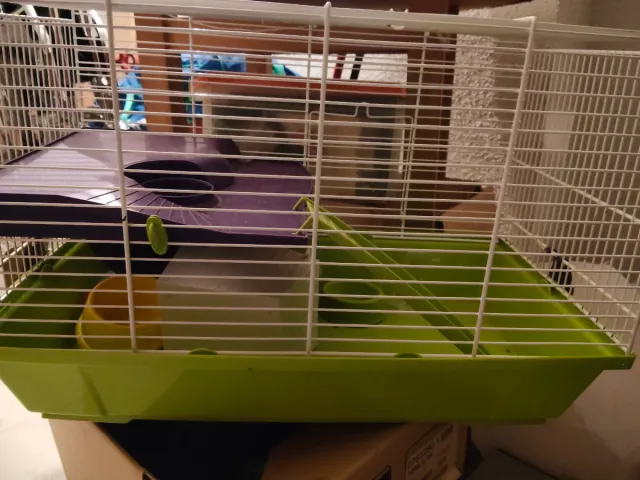 Gabbia per criceto con accessori