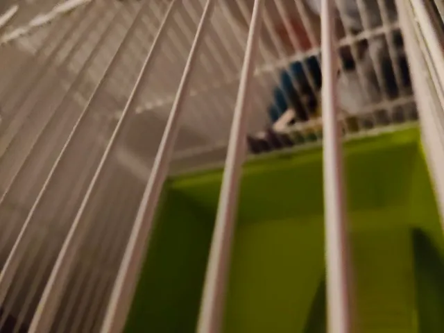 Gabbia per criceto con accessori