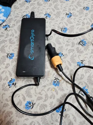 Cargador SmartGyro para patinete