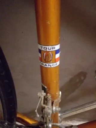 Bicicleta Fixie Pelliser Vintage