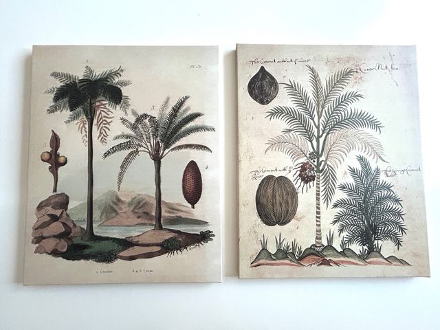 2 Cuadros Vintage Botánicos 50x40