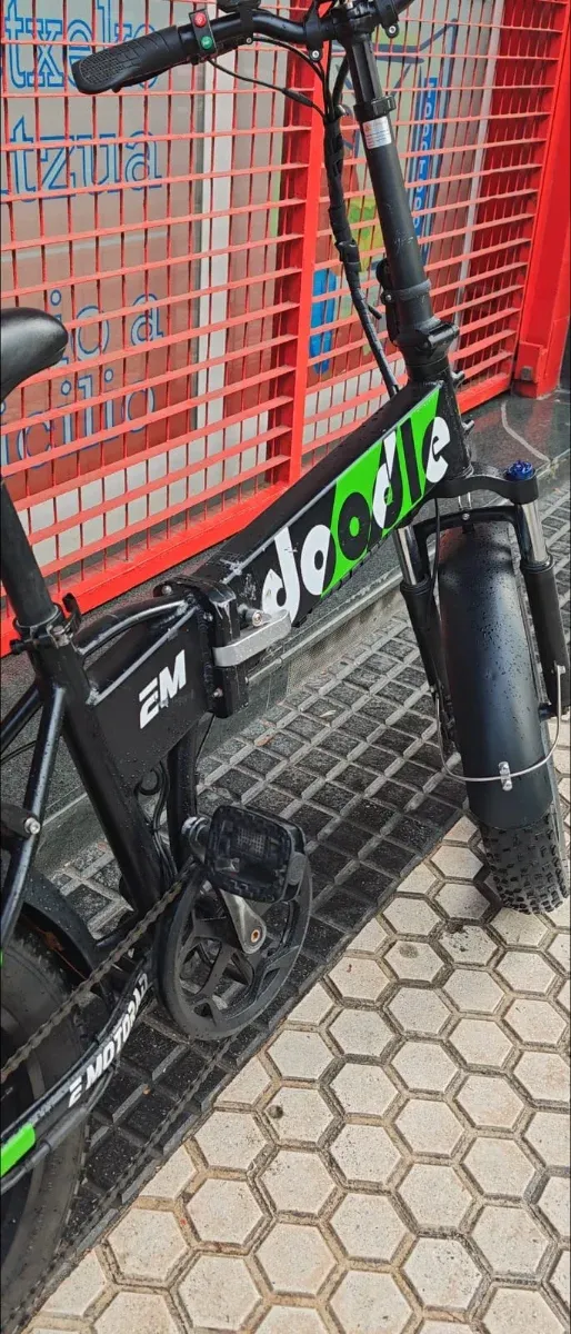 Bicicleta elettrica pieghevole 20x4