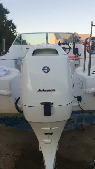 Motor fueraborda Johnson/Suzuki 60cv 4T