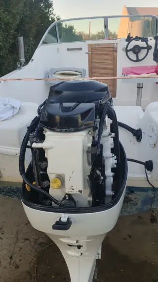 Motor fueraborda Johnson/Suzuki 60cv 4T