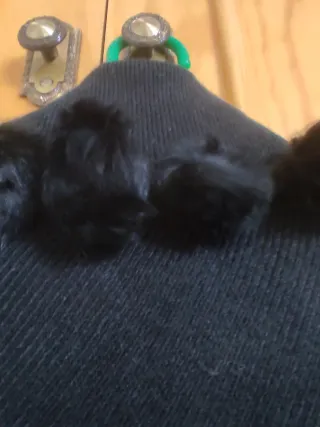 Poncho negro con pelo