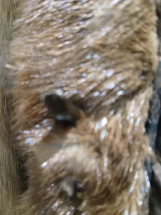 Abrigo vintage sintético imitación visón