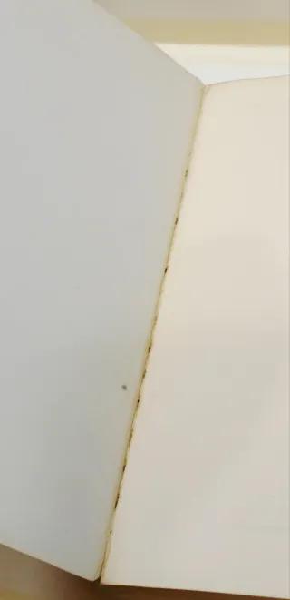 Libro El almuerzo desnudez Burroughs