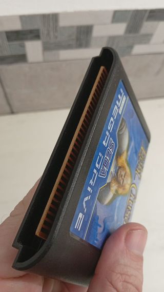 Light Crusader Sega Mega Drive RPG