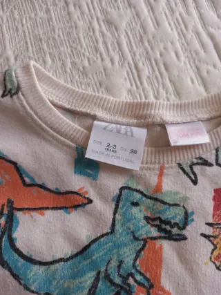 Conjunto Ropa Niño 3 Años: Sudadera, Camiseta y Pa