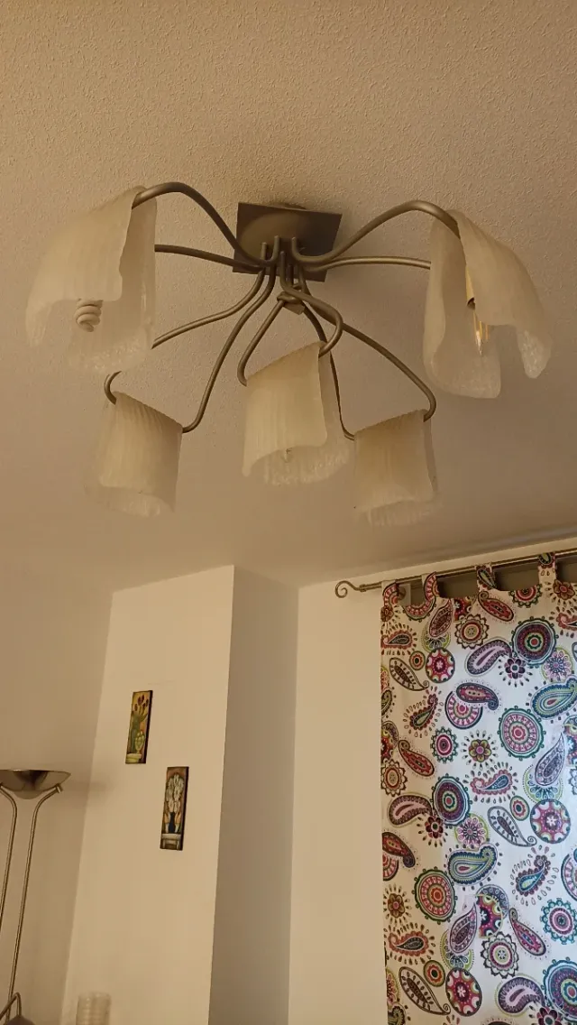 Lampada da soffitto a 5 bracci