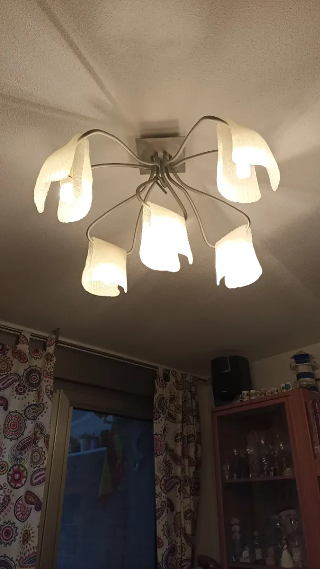 Lampada da soffitto a 5 bracci