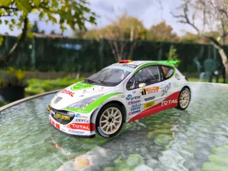 Peugeot 207 S2000 - Sun Star 1:18
