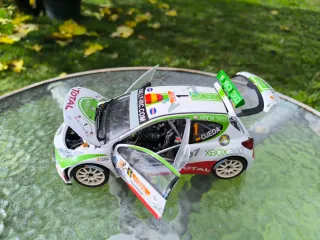 Peugeot 207 S2000 - Sun Star 1:18