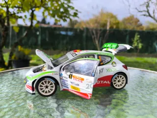 Peugeot 207 S2000 - Sun Star 1:18
