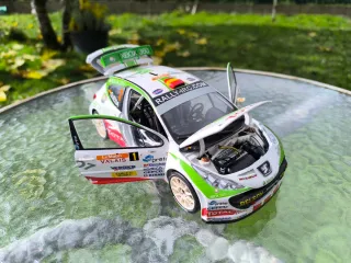 Peugeot 207 S2000 - Sun Star 1:18