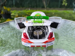 Peugeot 207 S2000 - Sun Star 1:18