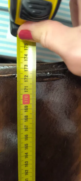 Armario antiguo de madera con espejo