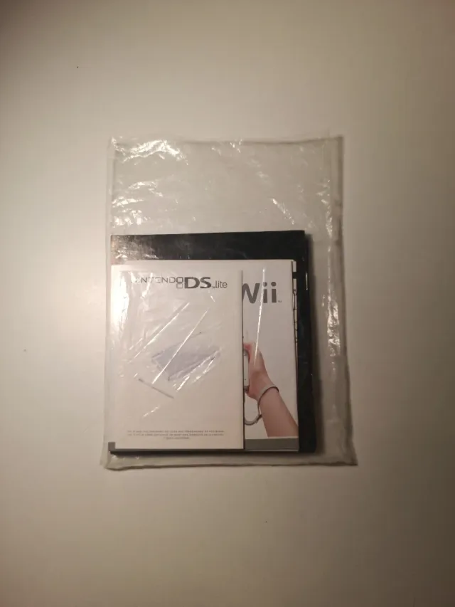 Manuali Nintendo DS Lite *Ottimo stato*
