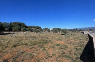 Terreno rústico en alquiler en Bétera, 3.100m²