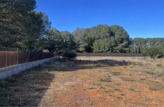 Terreno rústico en alquiler en Bétera, 3.100m²