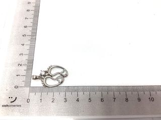 colgante plata 925mm