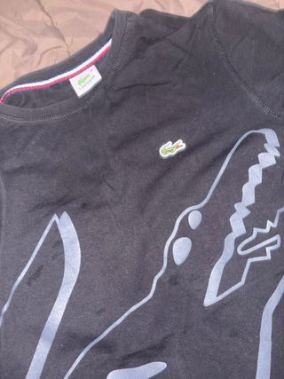 Camiseta Lacoste Negra Cocodrilo