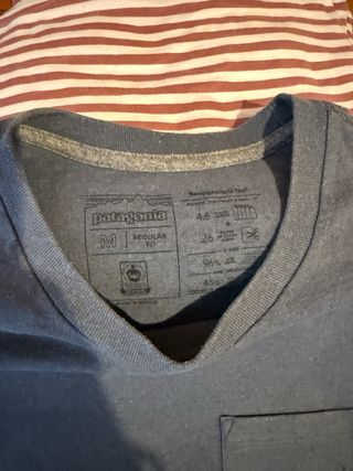 Camiseta Patagonia