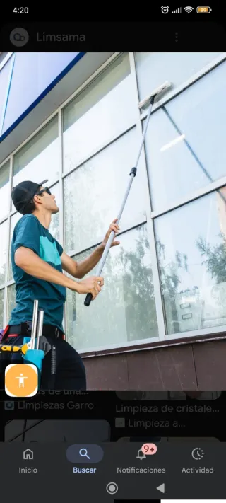 limpiador profesional