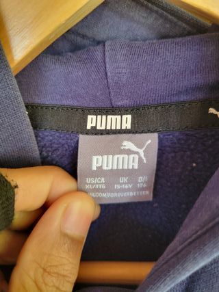 Sudadera Puma con capucha color block