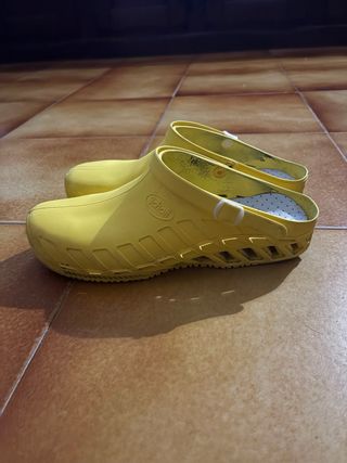 Scholl Clog Evo