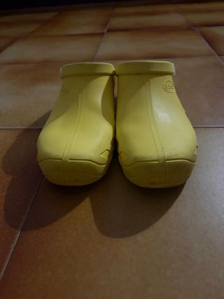 Scholl Clog Evo