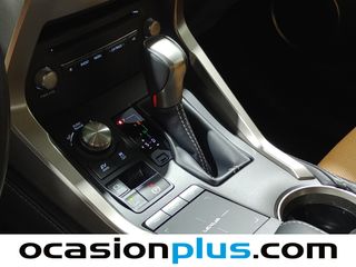 Lexus NX 300h Executive Navigation 4WD 145 kW (197 CV)