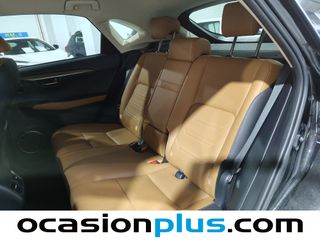 Lexus NX 300h Executive Navigation 4WD 145 kW (197 CV)