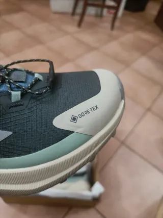 Adidas Terrex Trilmaker 2 Gore-Tex Scarpe