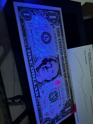 Dólar de Maseda Picasso