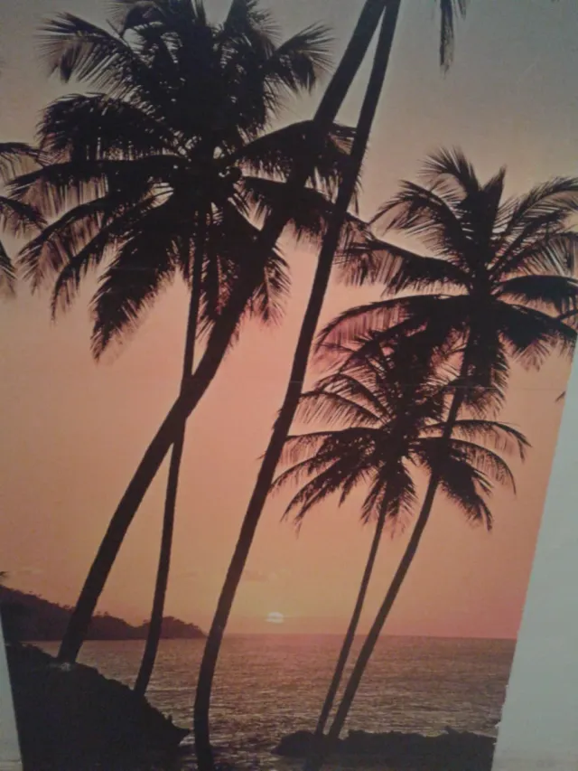 Muro con palme e tramonto