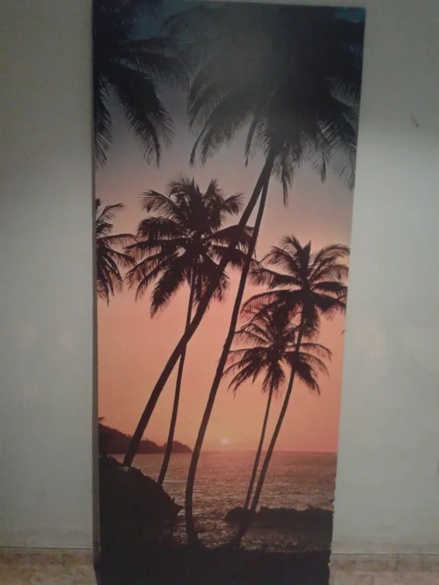 Muro con palme e tramonto