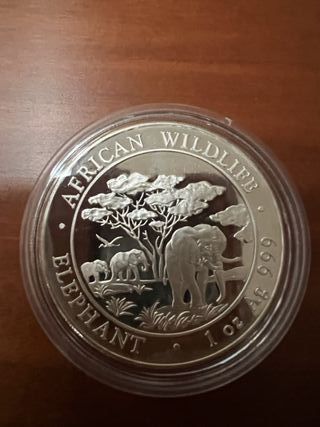 Moneda Plata 999 Elefante Somalia 1oz 2012