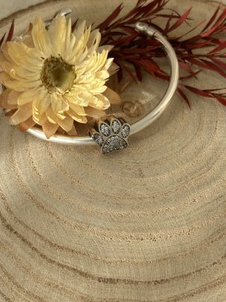 Charm Huella Perro Circonita