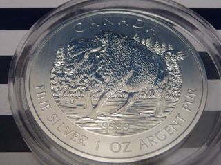 Moneda Plata Canadá Bisonte 1oz 999