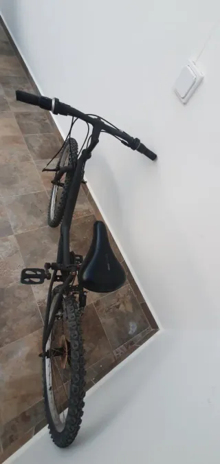 Bicicleta BTW