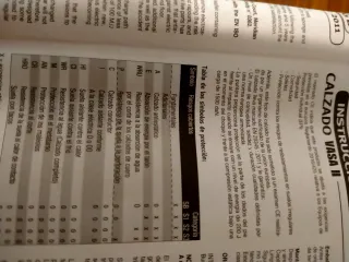 Zapatos de seguridad Vasa II